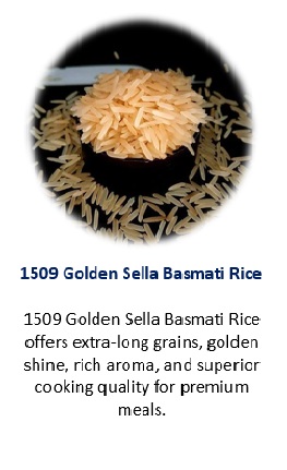 1509 GOLDEN SELLA RICE