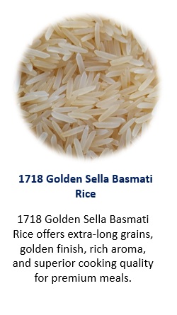 1718 GOLDEN SELLA RICE